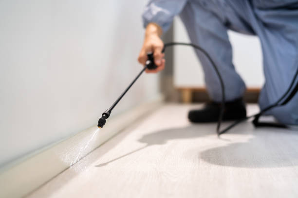 Licensed Termite Control service in North Star, DE - Nex Pest Control