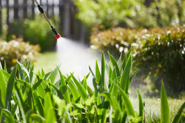 24/7 Emergency Termite Control experts in North Star, DE